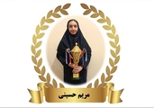 کسب مقام اول تیمی نوزدهمین دوره مسابقات دارت قهرمانی جوانان کشور